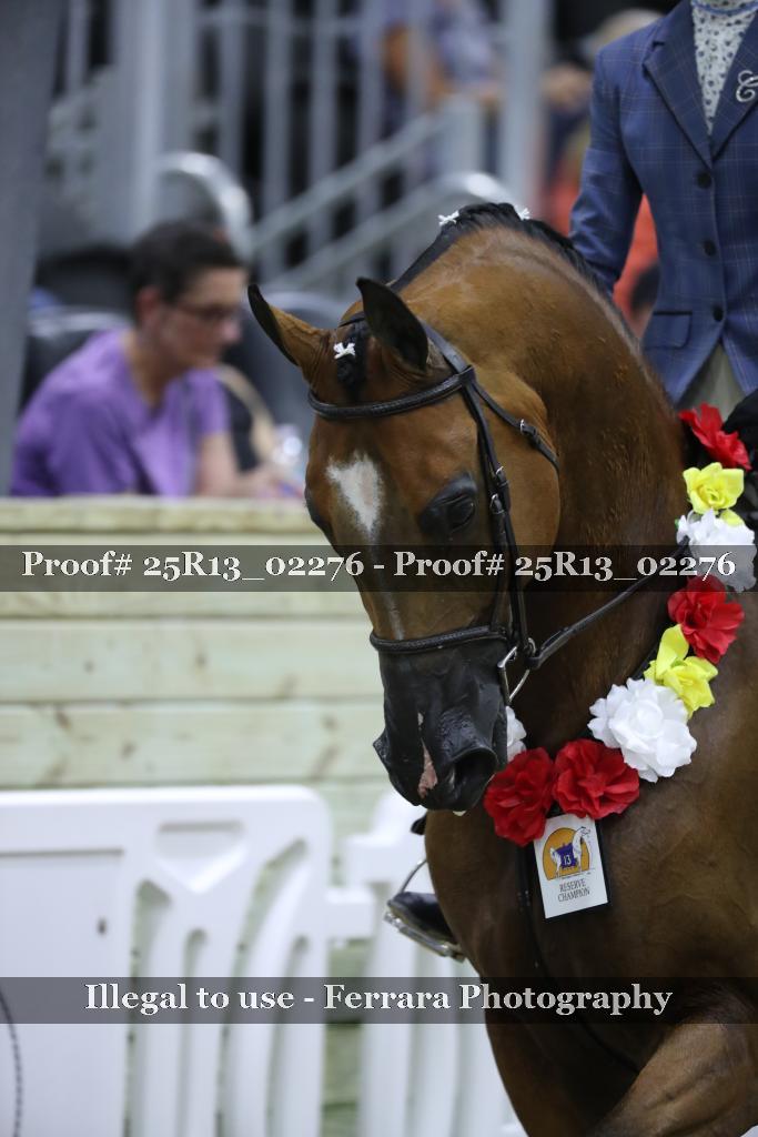 Proof 25R13_02276