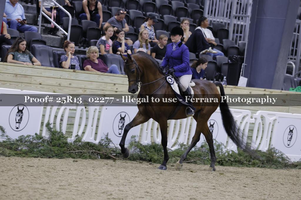 Proof 25R13_02277
