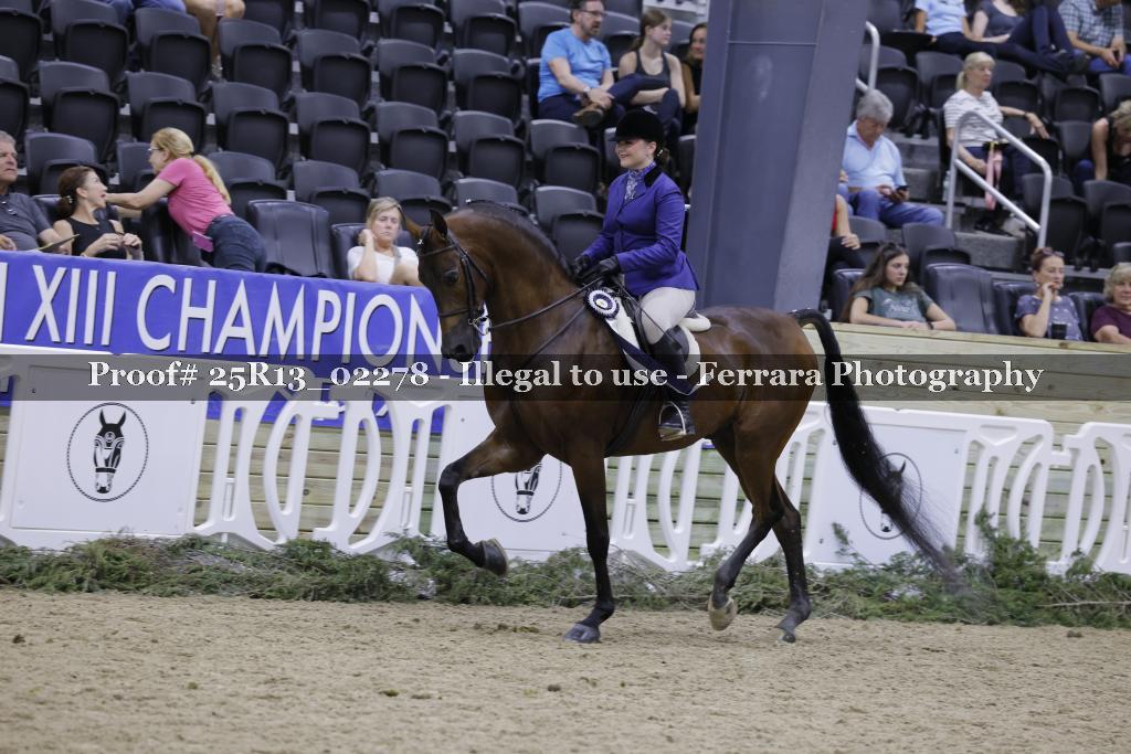 Proof 25R13_02278