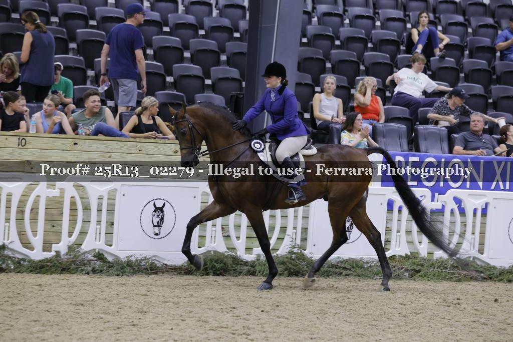 Proof 25R13_02279