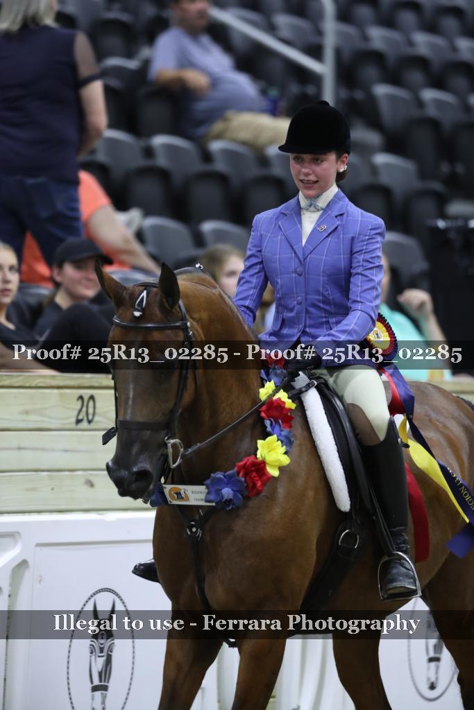 Proof 25R13_02285