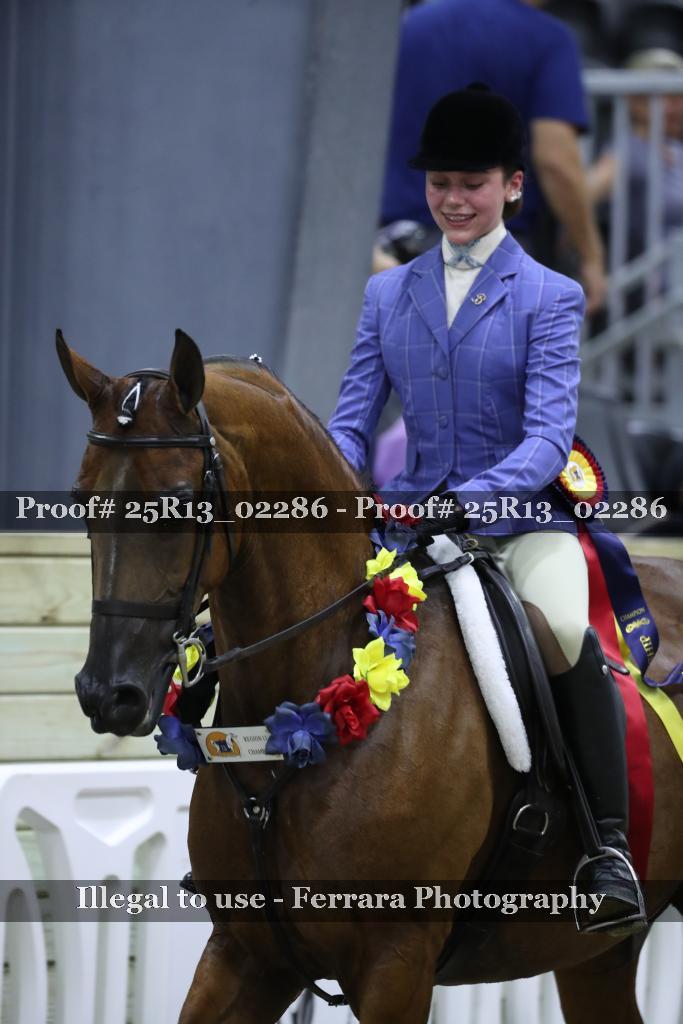 Proof 25R13_02286