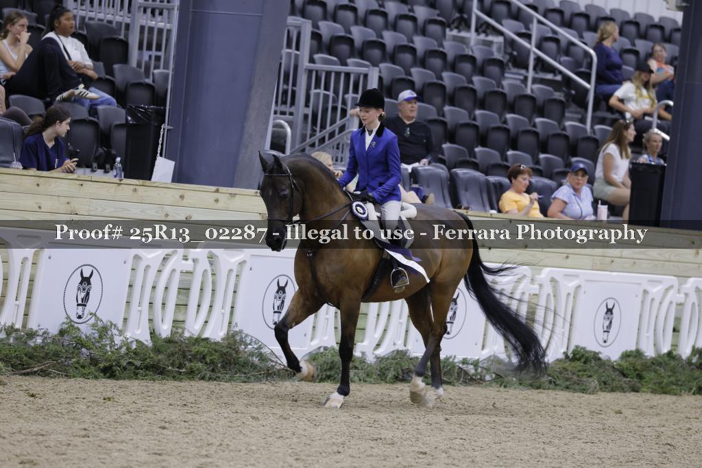 Proof 25R13_02287