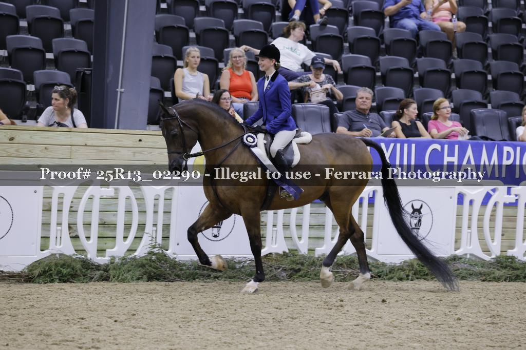 Proof 25R13_02290