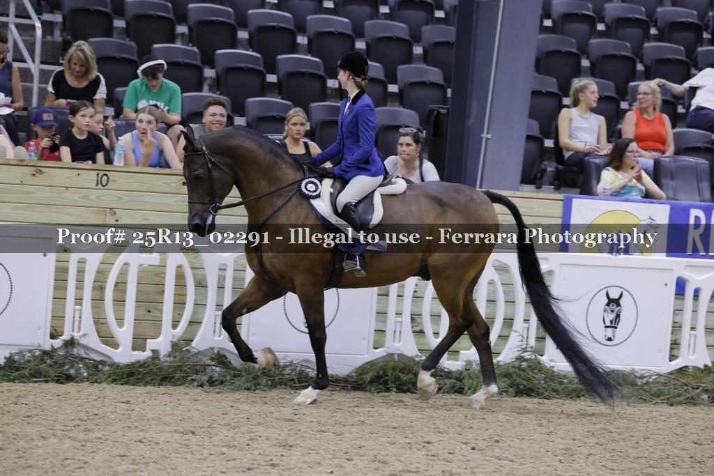 Proof 25R13_02291