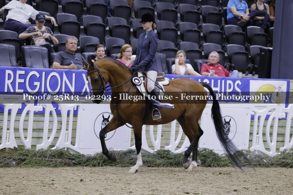 Proof 25R13_02293