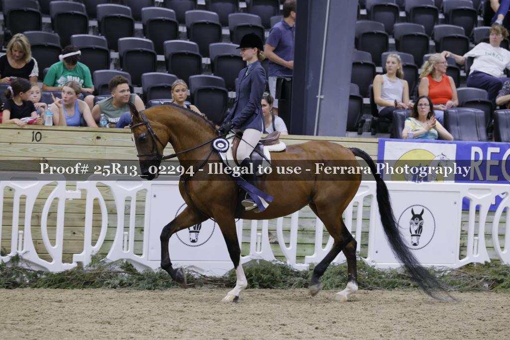 Proof 25R13_02294