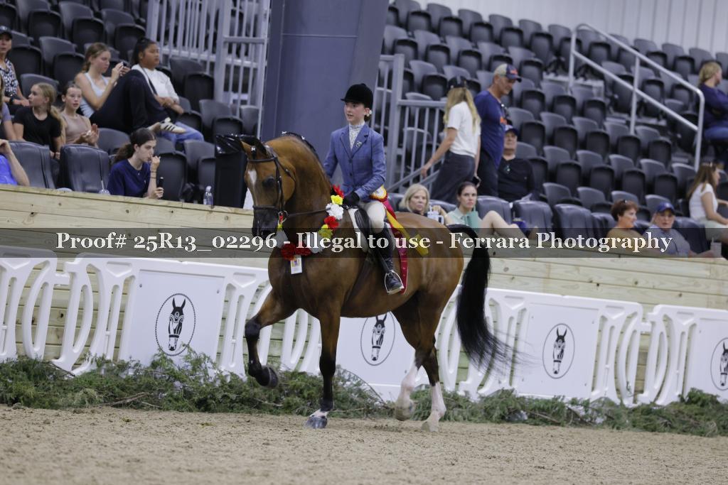 Proof 25R13_02296