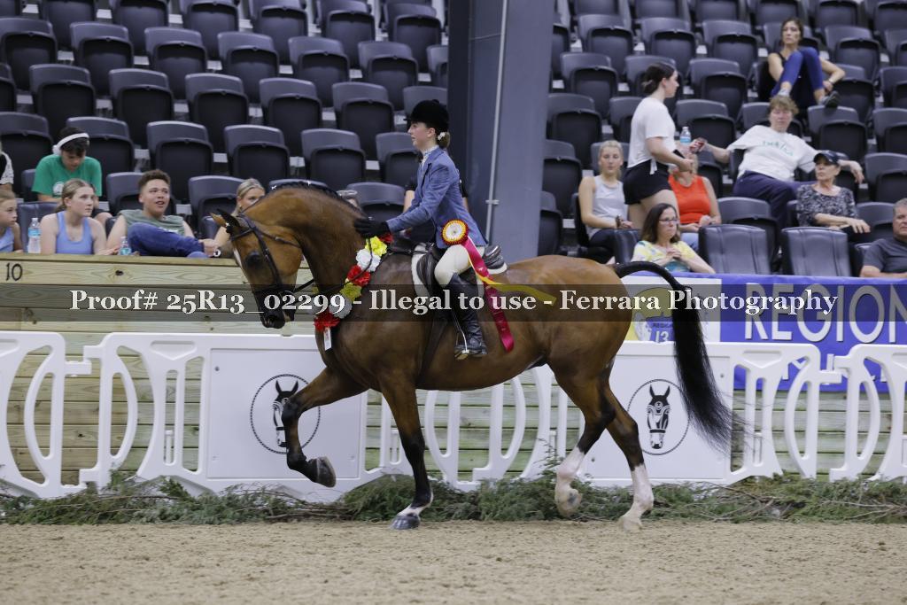 Proof 25R13_02299