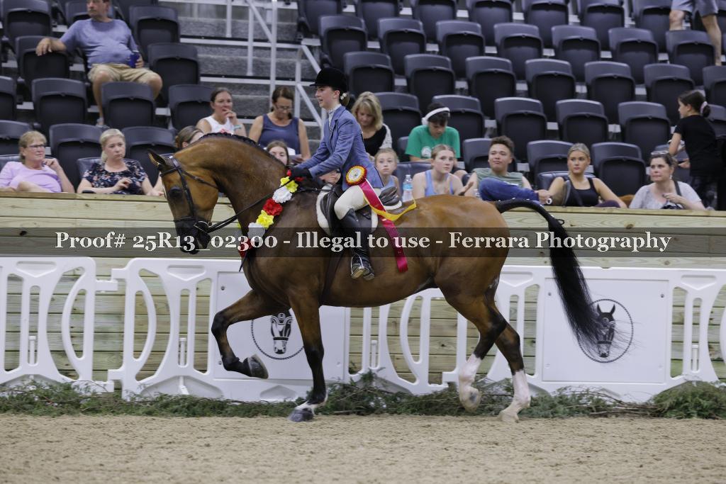 Proof 25R13_02300