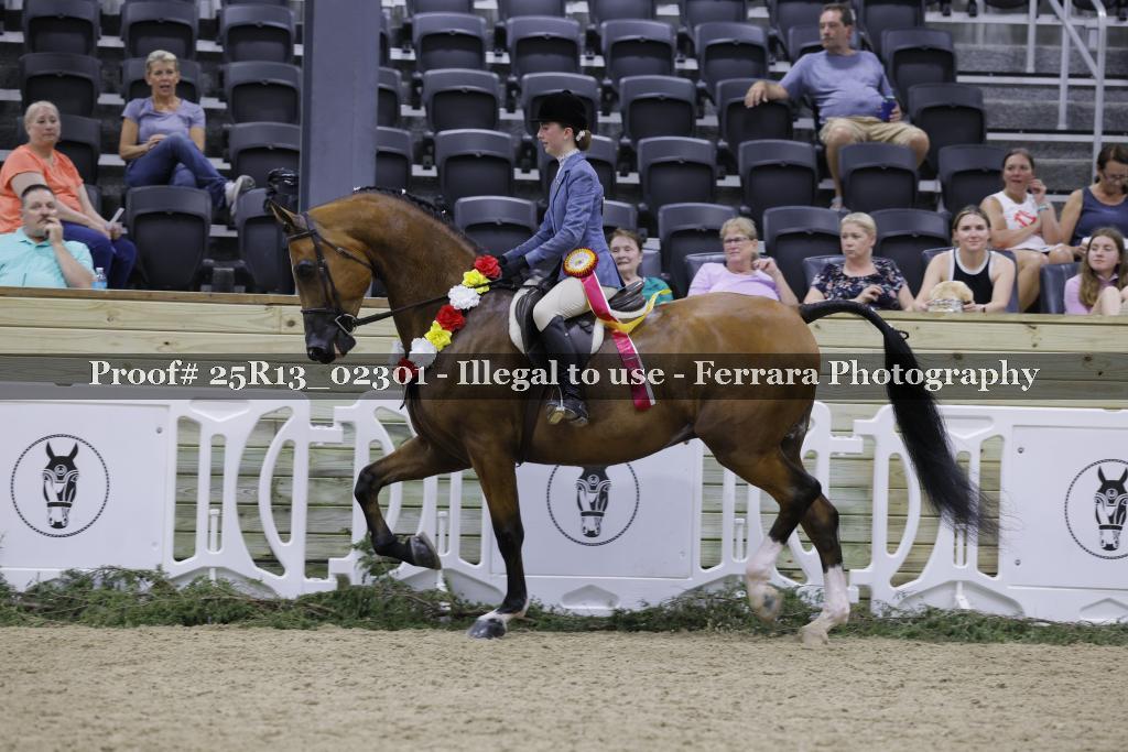Proof 25R13_02301