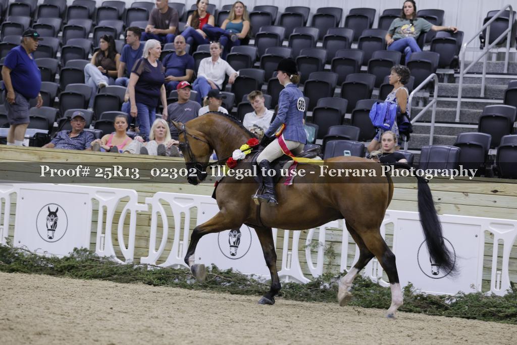Proof 25R13_02302