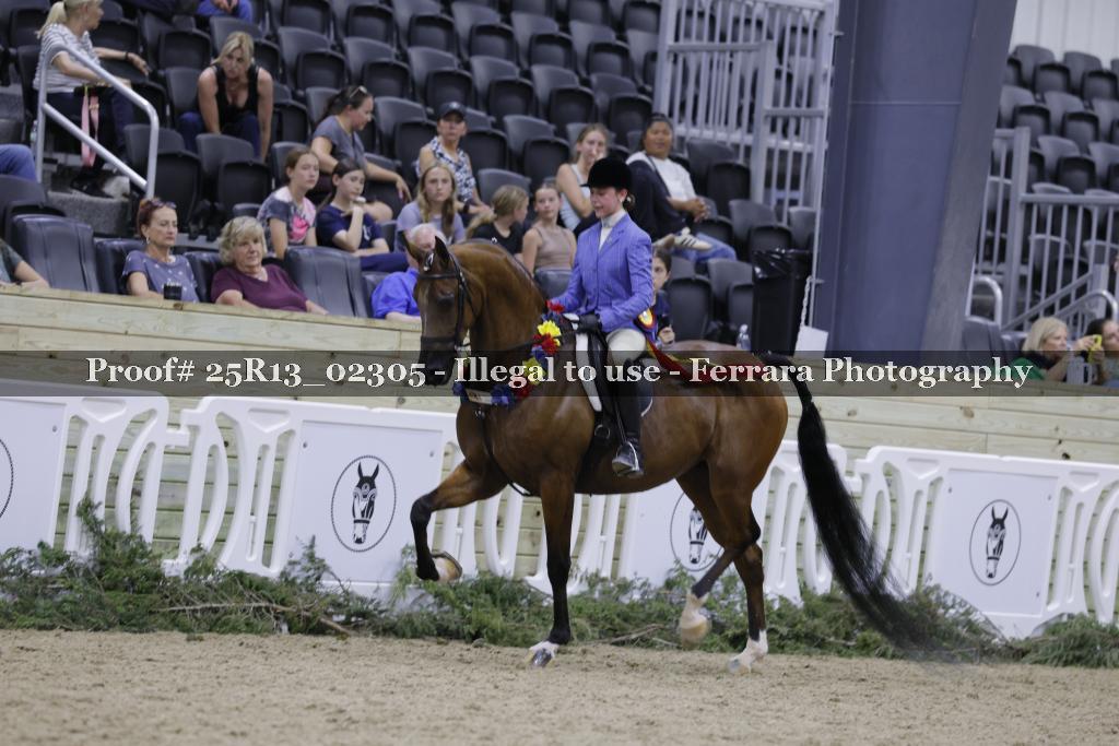 Proof 25R13_02305