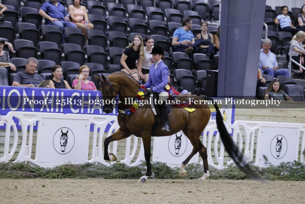 Proof 25R13_02306