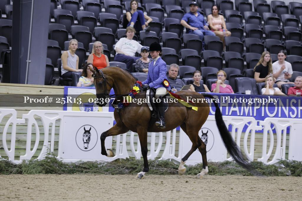 Proof 25R13_02307