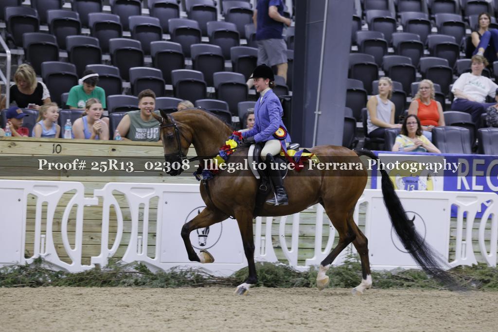 Proof 25R13_02308