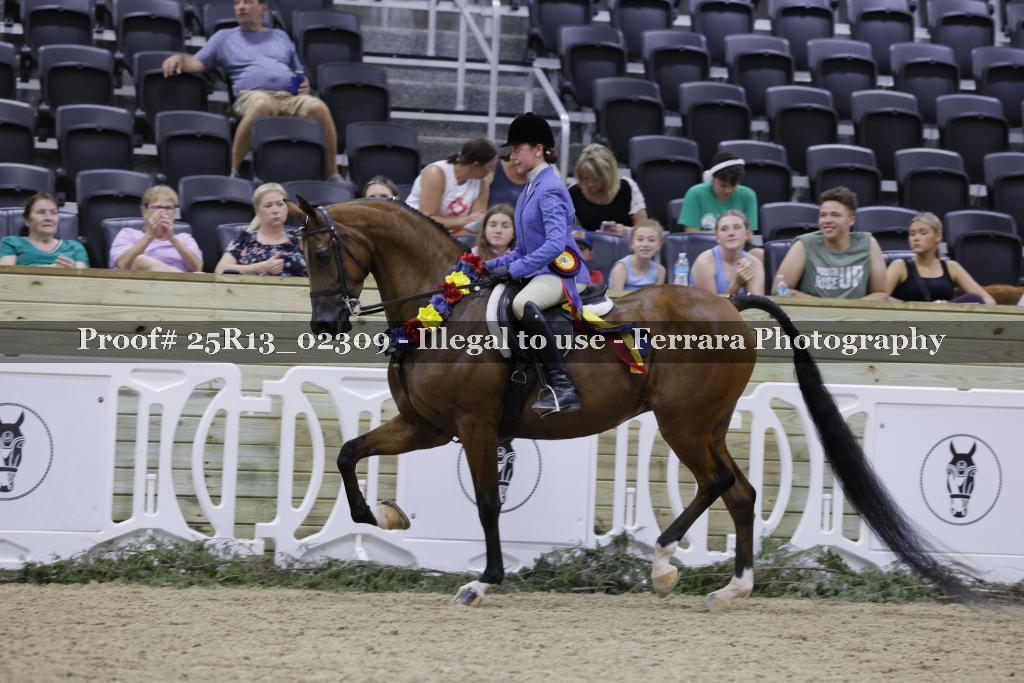 Proof 25R13_02309
