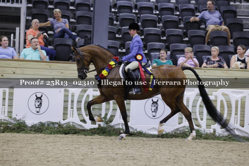 Proof 25R13_02310