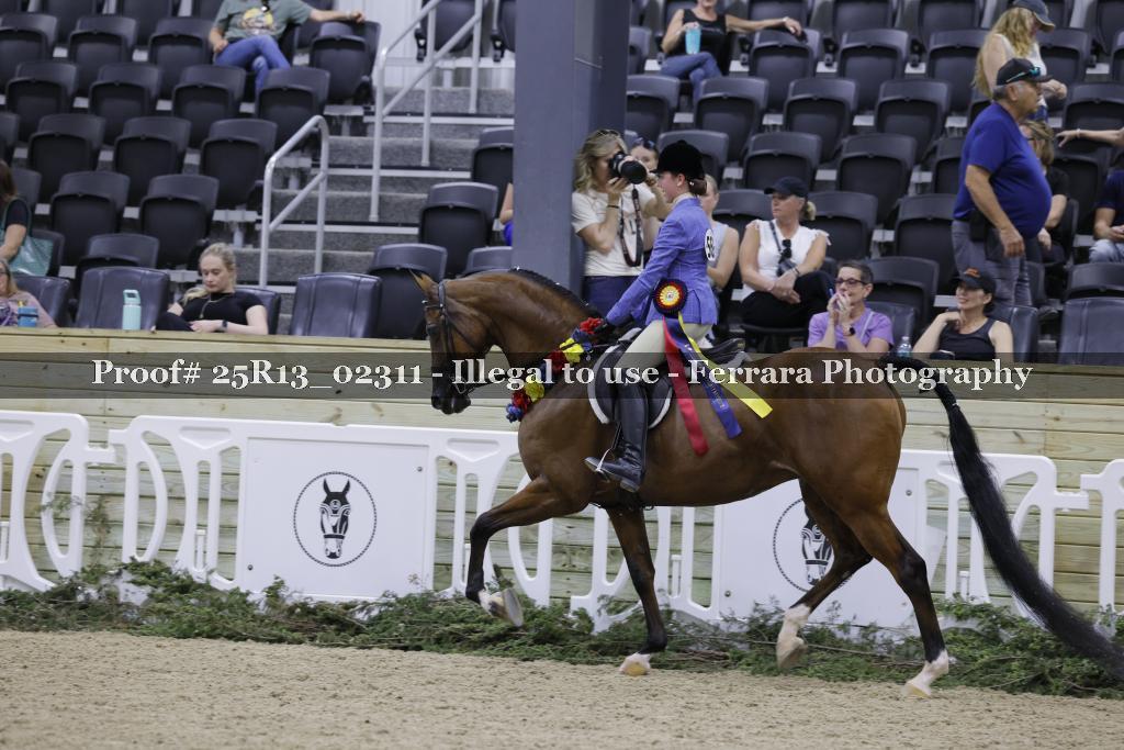 Proof 25R13_02311