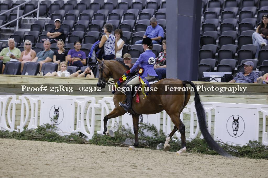 Proof 25R13_02312