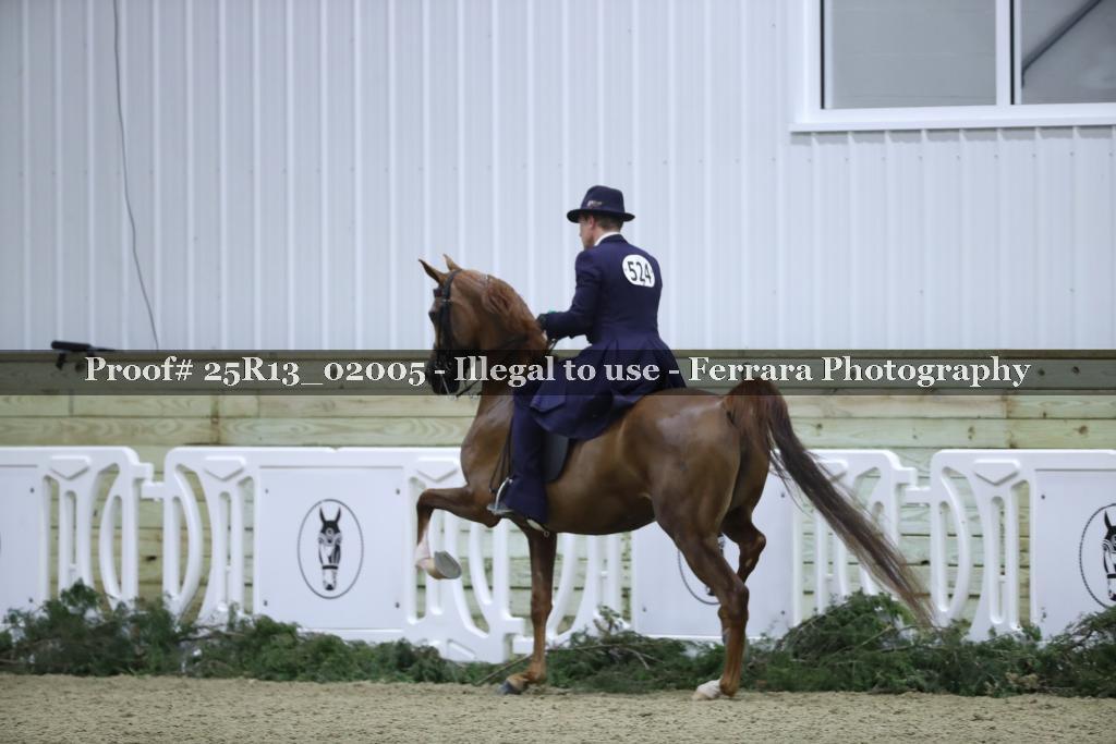 Proof 25R13_02005