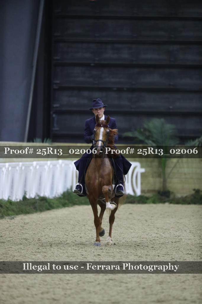 Proof 25R13_02006