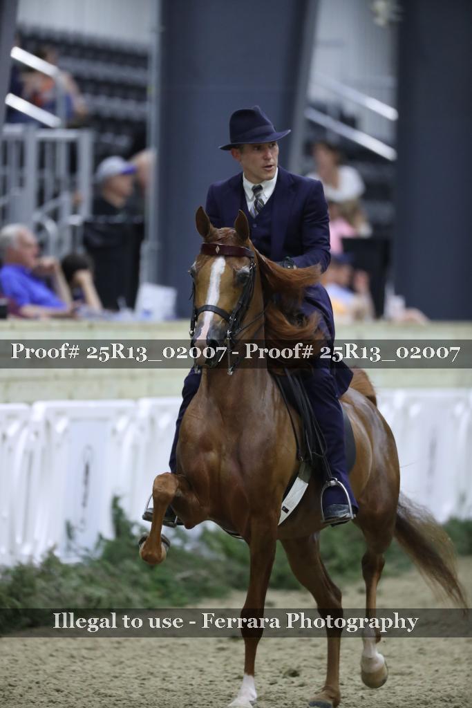 Proof 25R13_02007