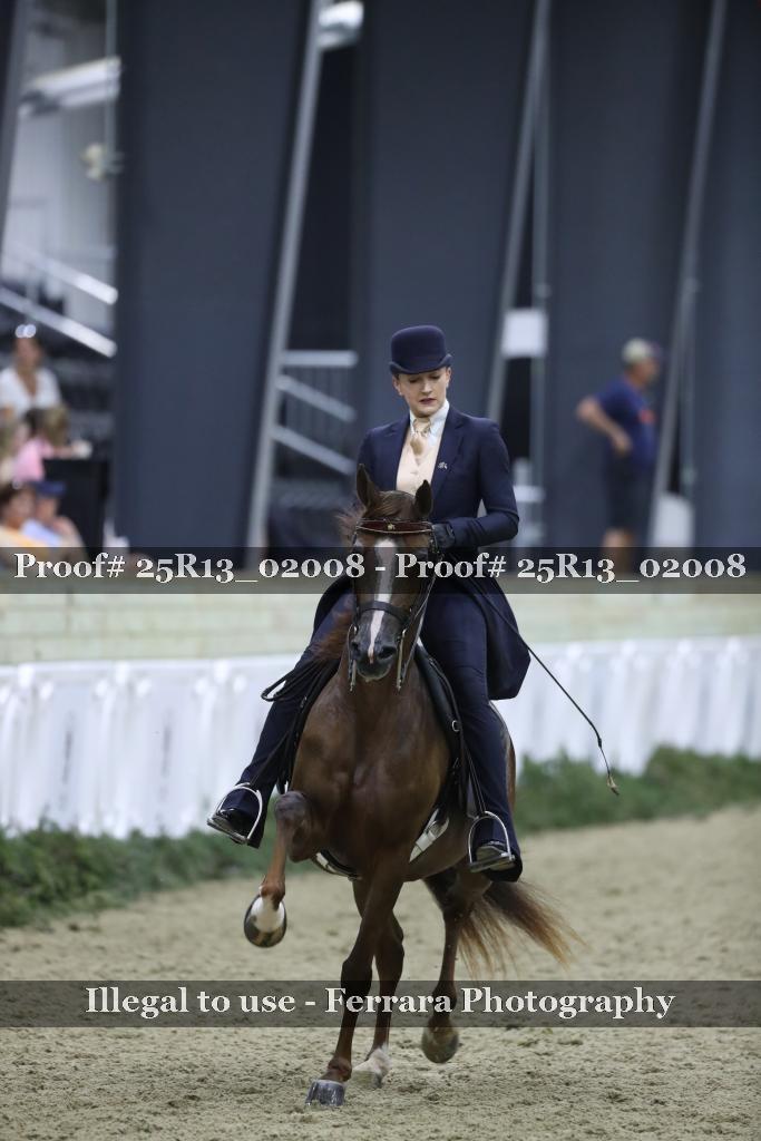 Proof 25R13_02008
