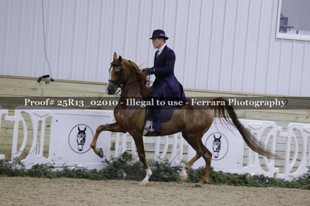 Proof 25R13_02010