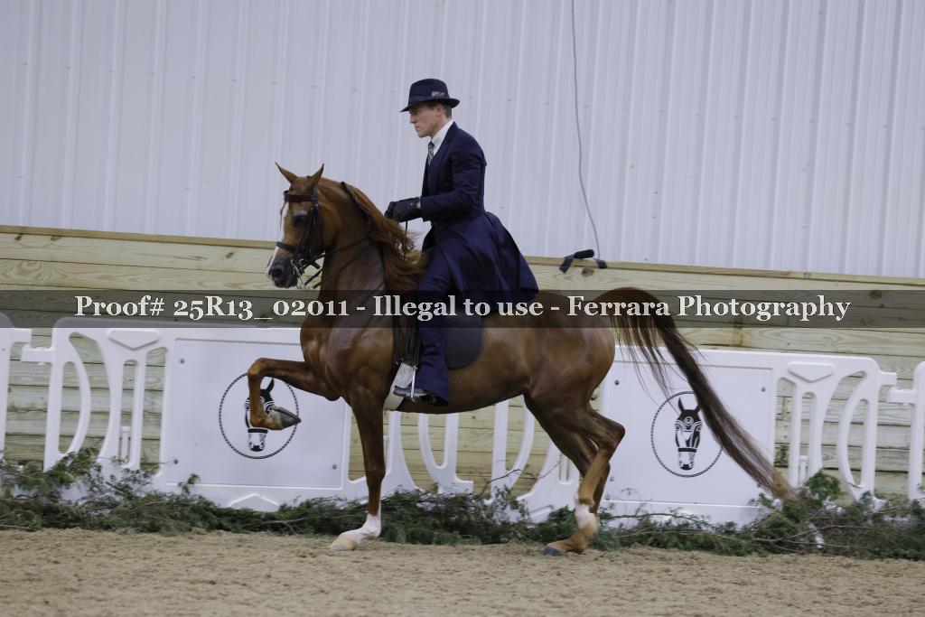 Proof 25R13_02011
