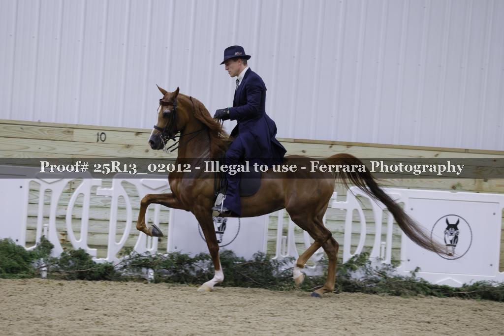 Proof 25R13_02012