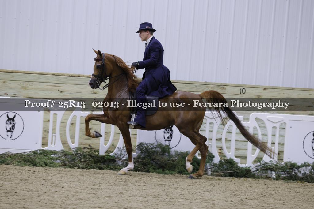 Proof 25R13_02013