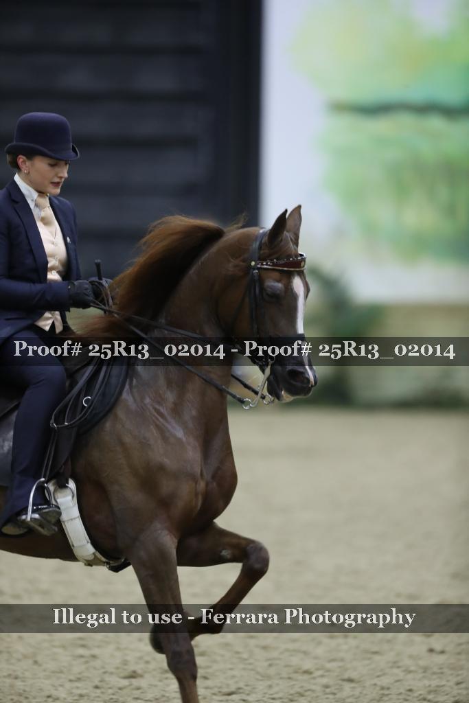 Proof 25R13_02014