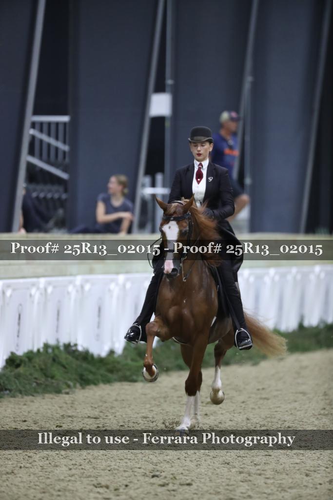 Proof 25R13_02015