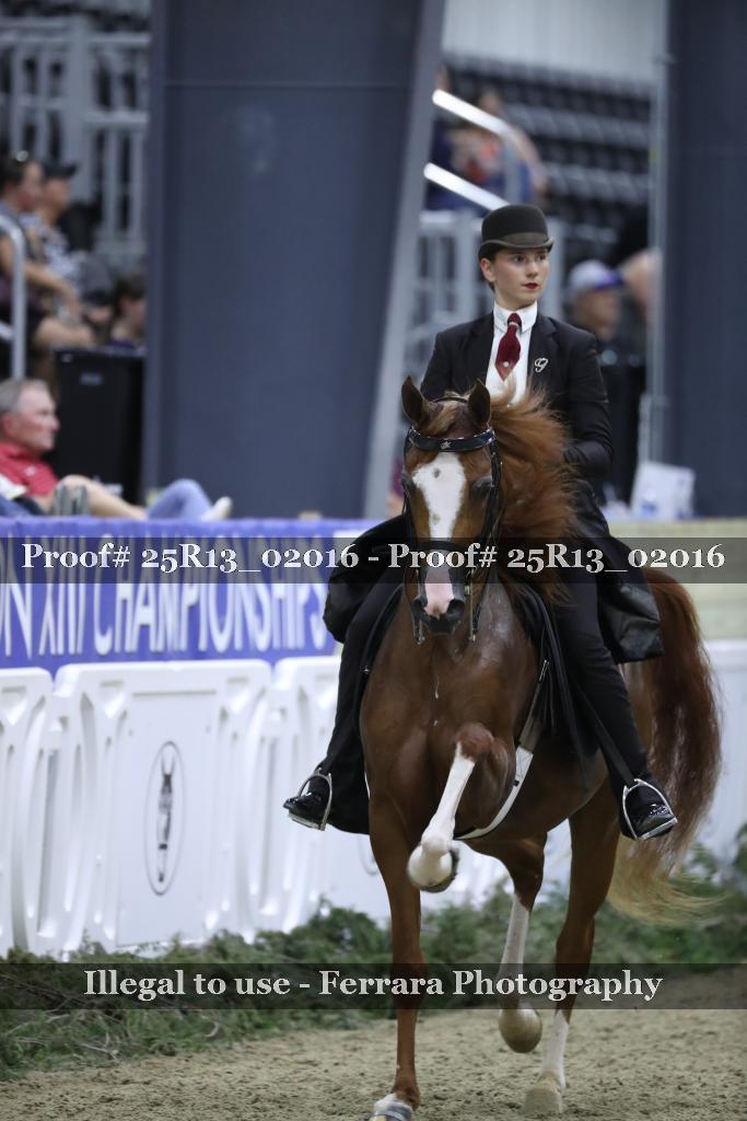 Proof 25R13_02016