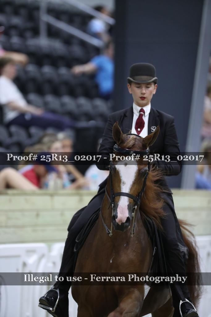 Proof 25R13_02017