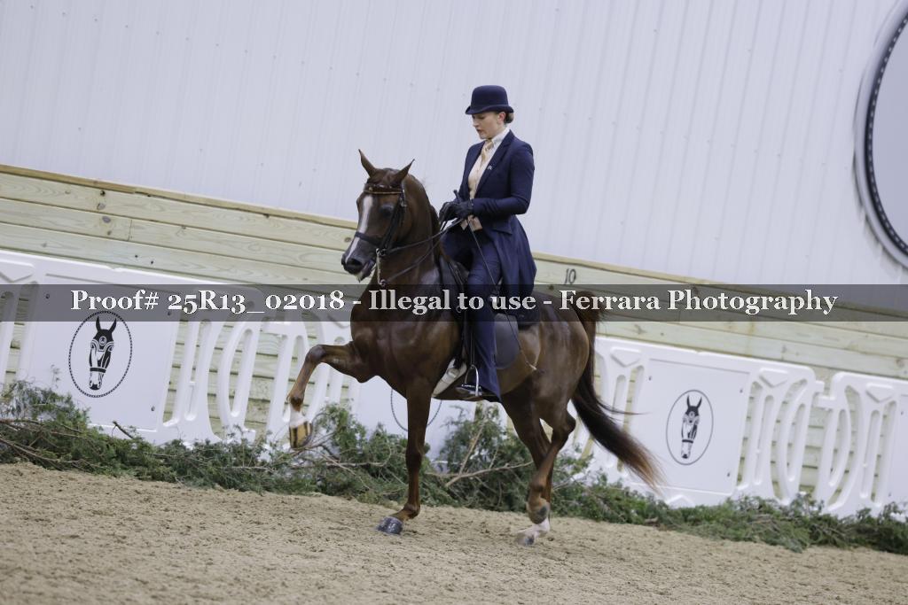 Proof 25R13_02018