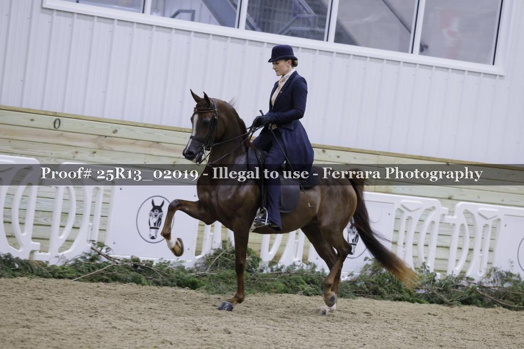 Proof 25R13_02019