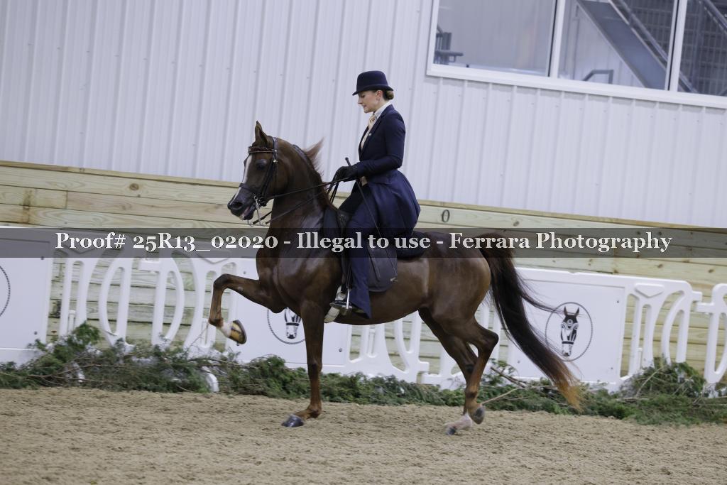 Proof 25R13_02020