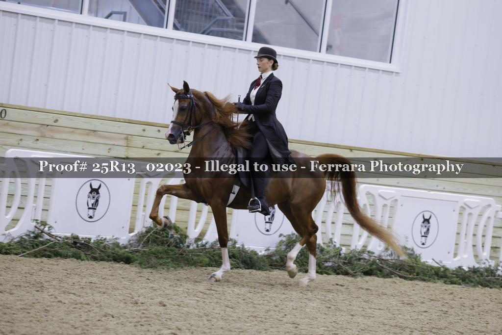 Proof 25R13_02023