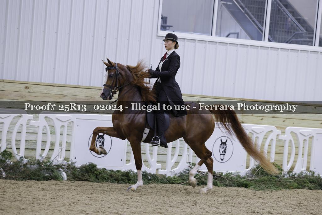 Proof 25R13_02024