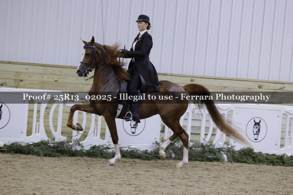 Proof 25R13_02025