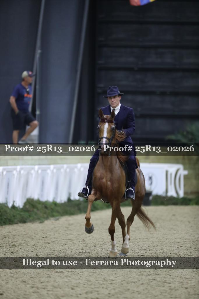 Proof 25R13_02026