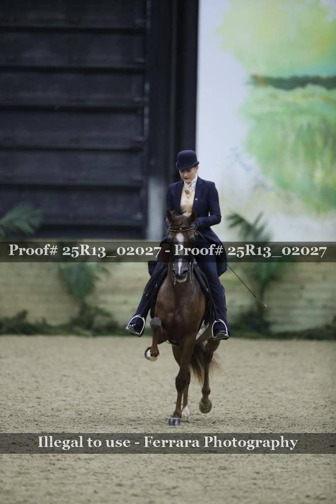 Proof 25R13_02027