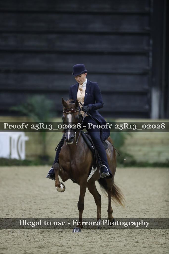 Proof 25R13_02028