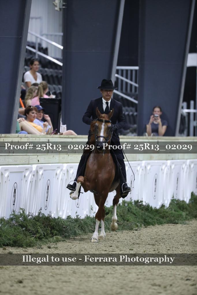 Proof 25R13_02029