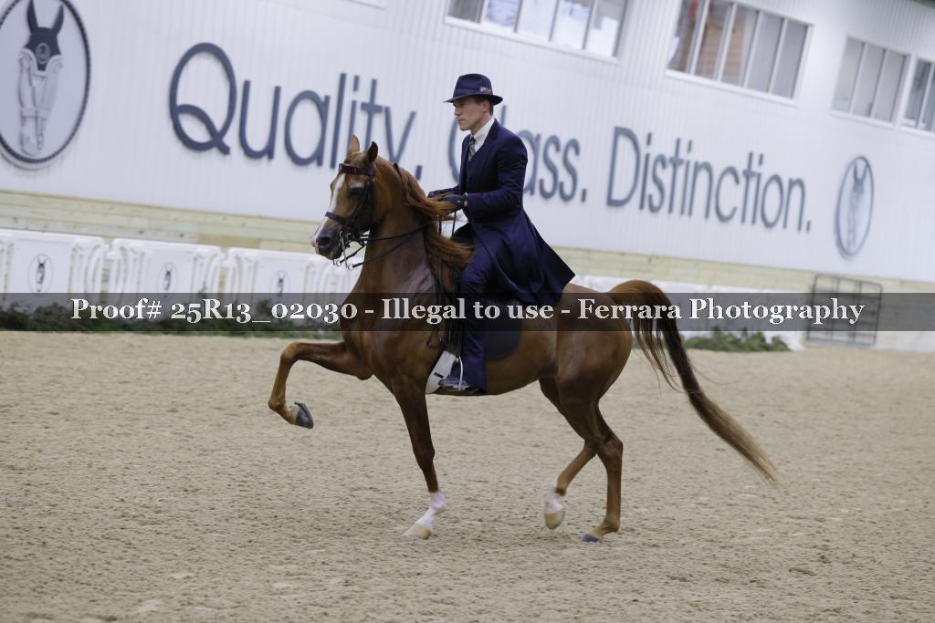Proof 25R13_02030