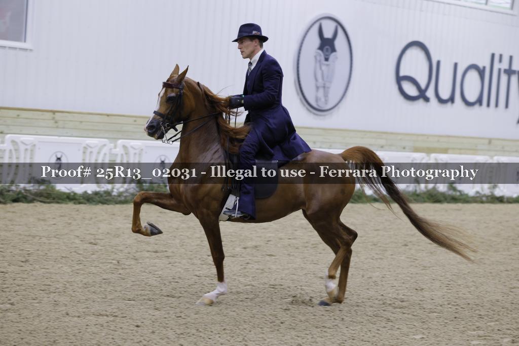 Proof 25R13_02031