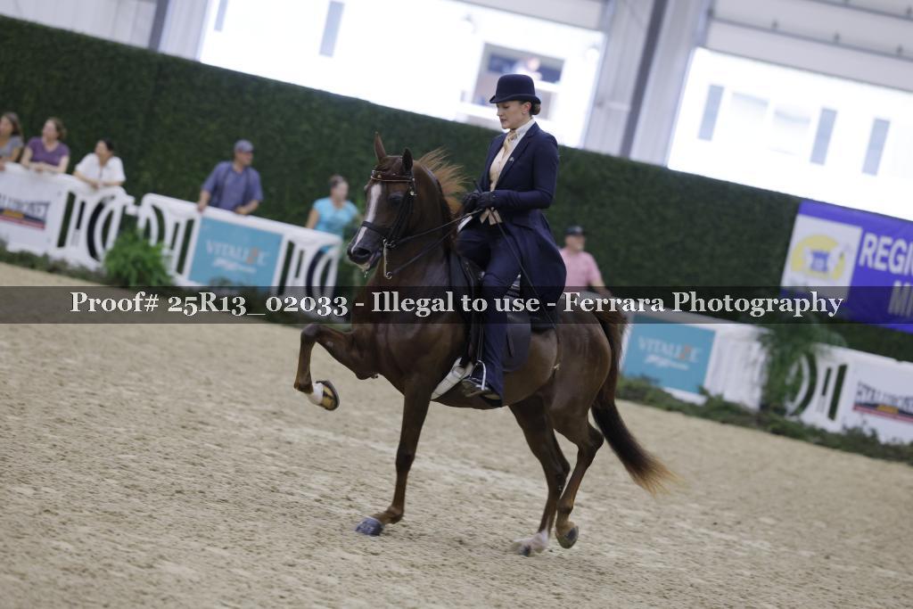 Proof 25R13_02033