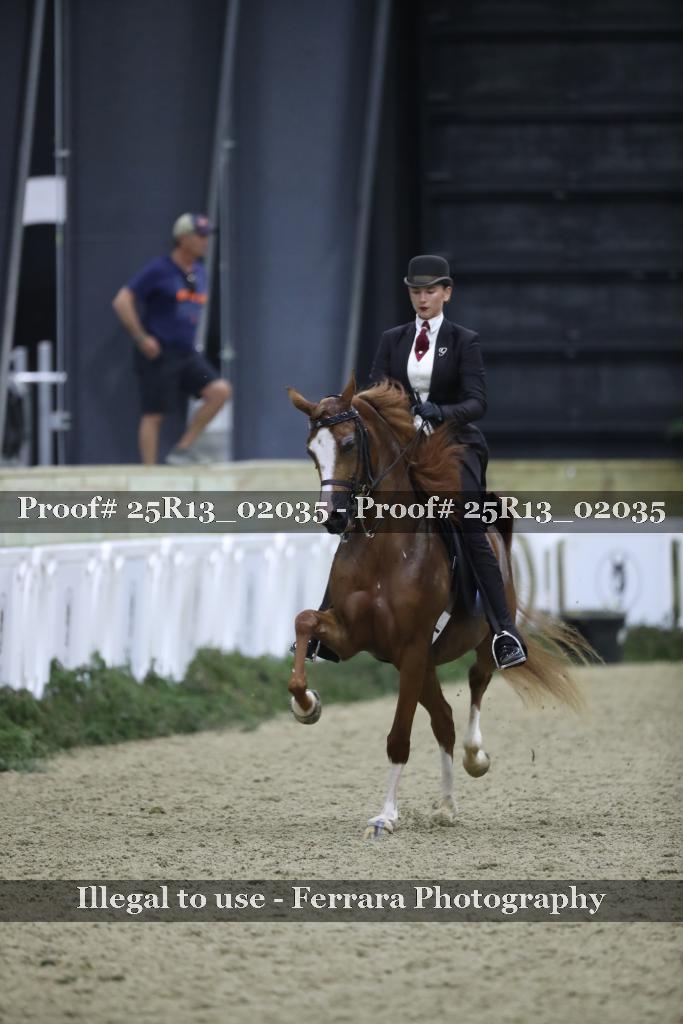 Proof 25R13_02035